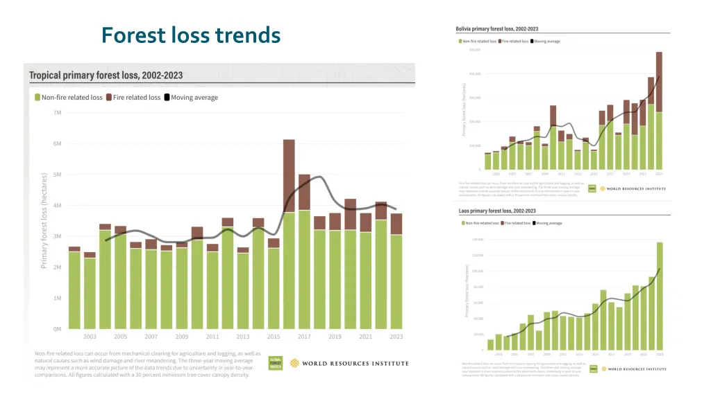 forest loss trends