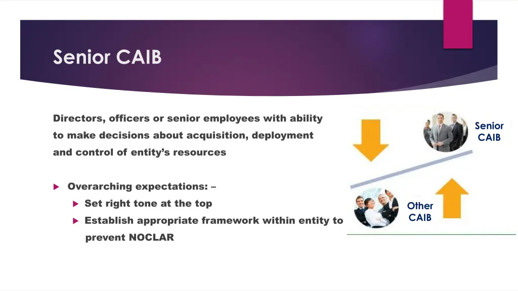 senior caib