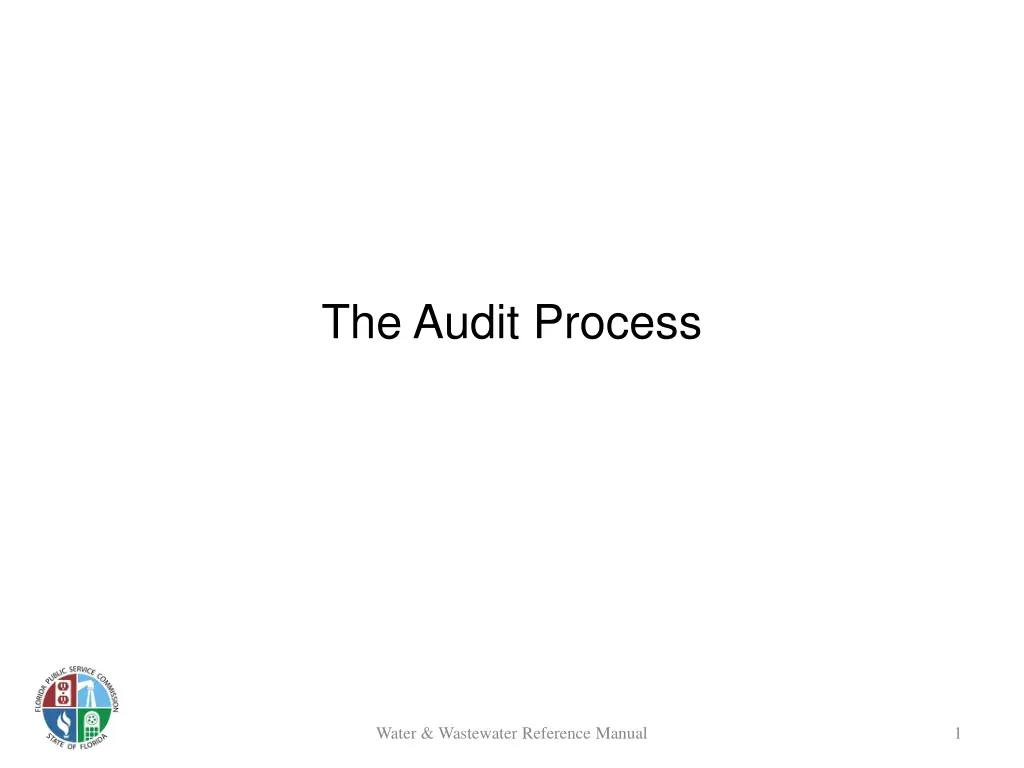 the audit process