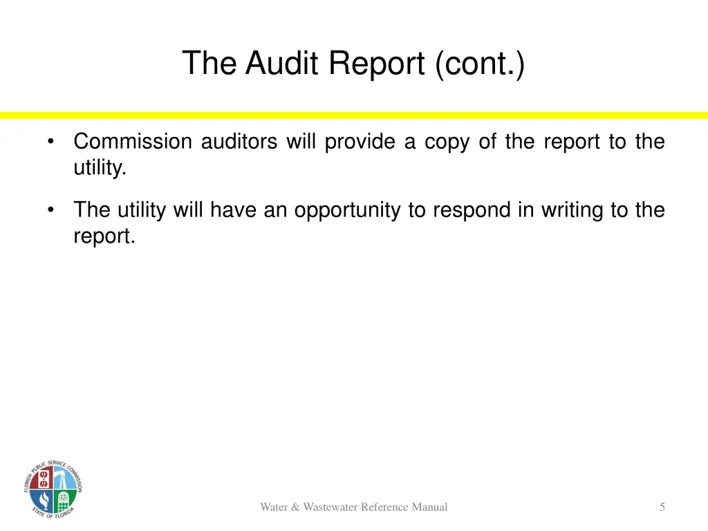 the audit report cont