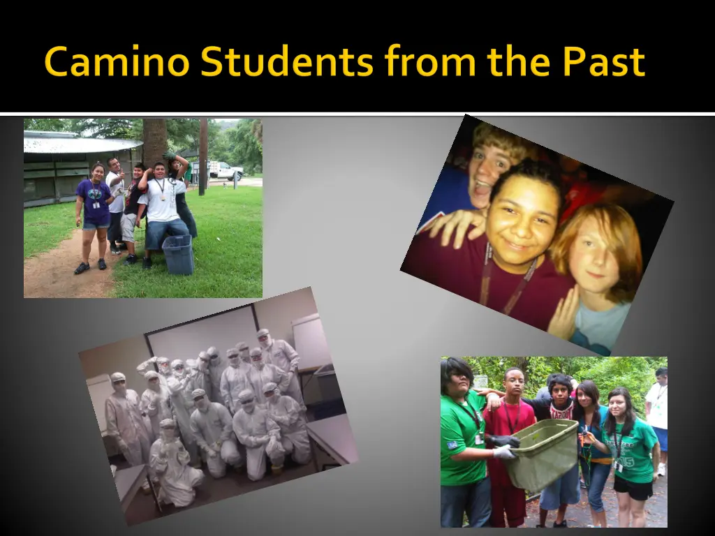 slide8