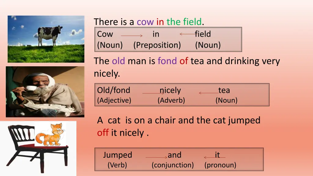 there is a cow in the field cow in field noun