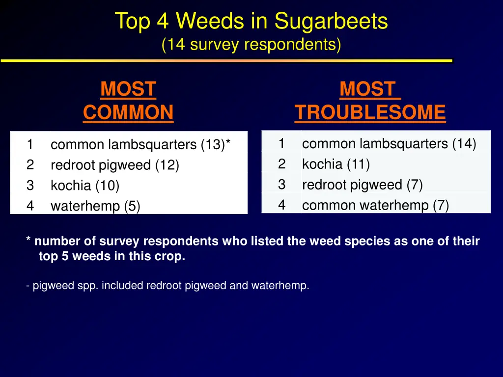 top 4 weeds in sugarbeets 14 survey respondents