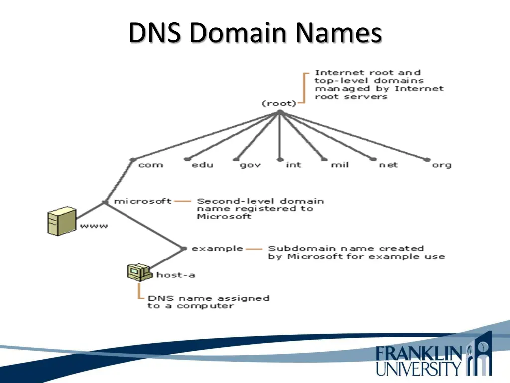 dns domain names