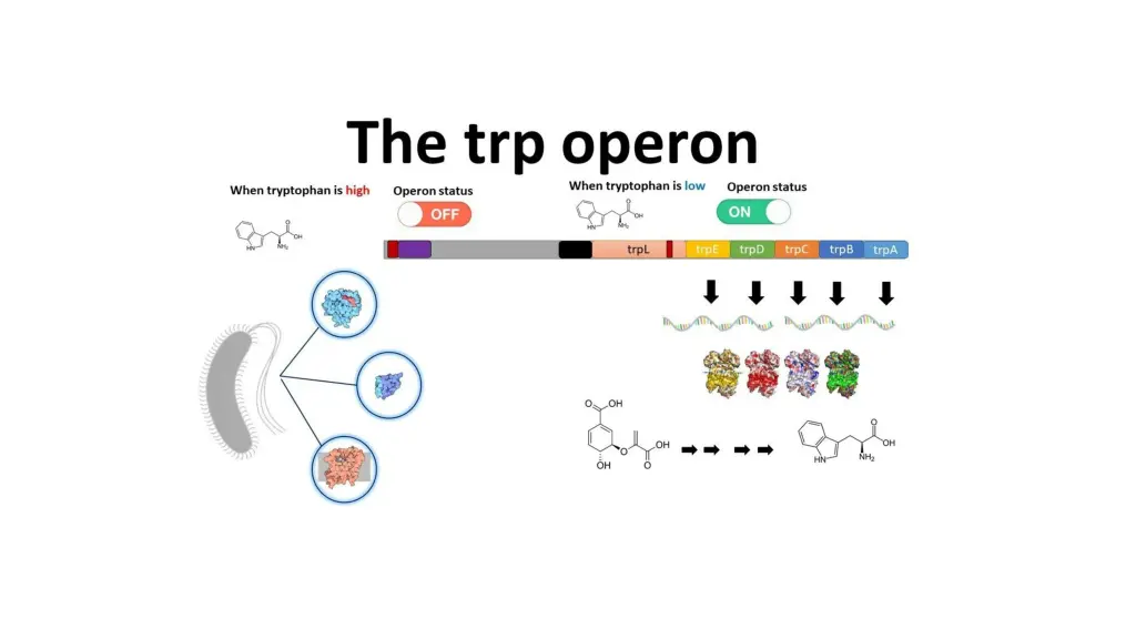 slide2
