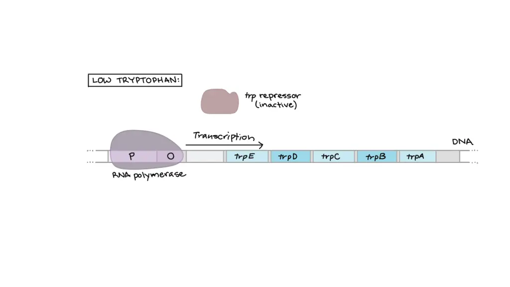 slide6