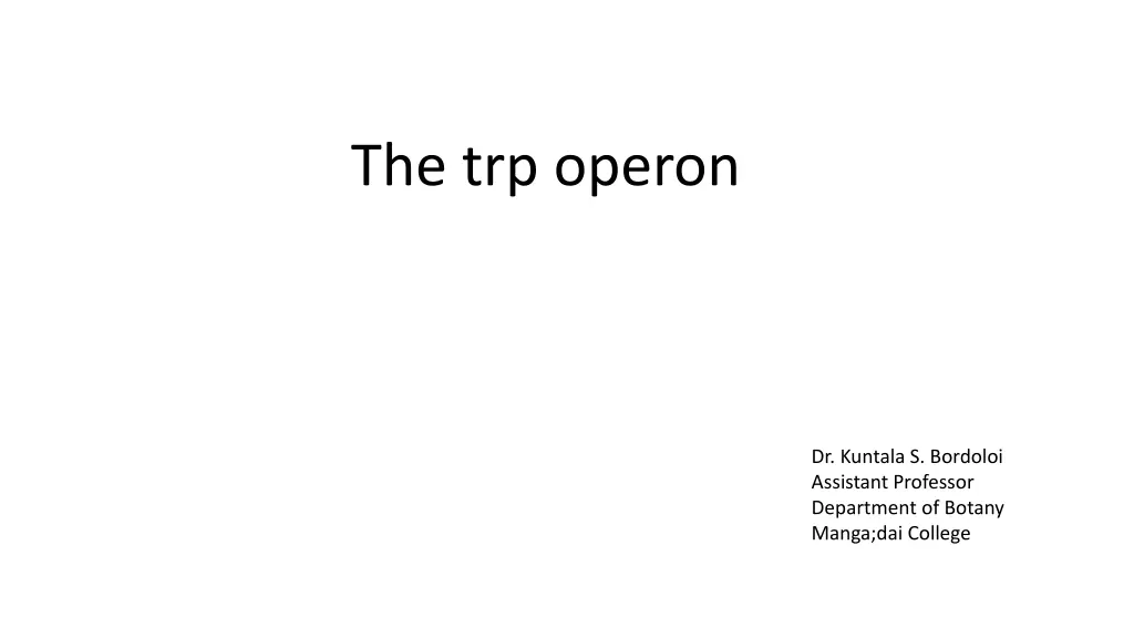 the trp operon