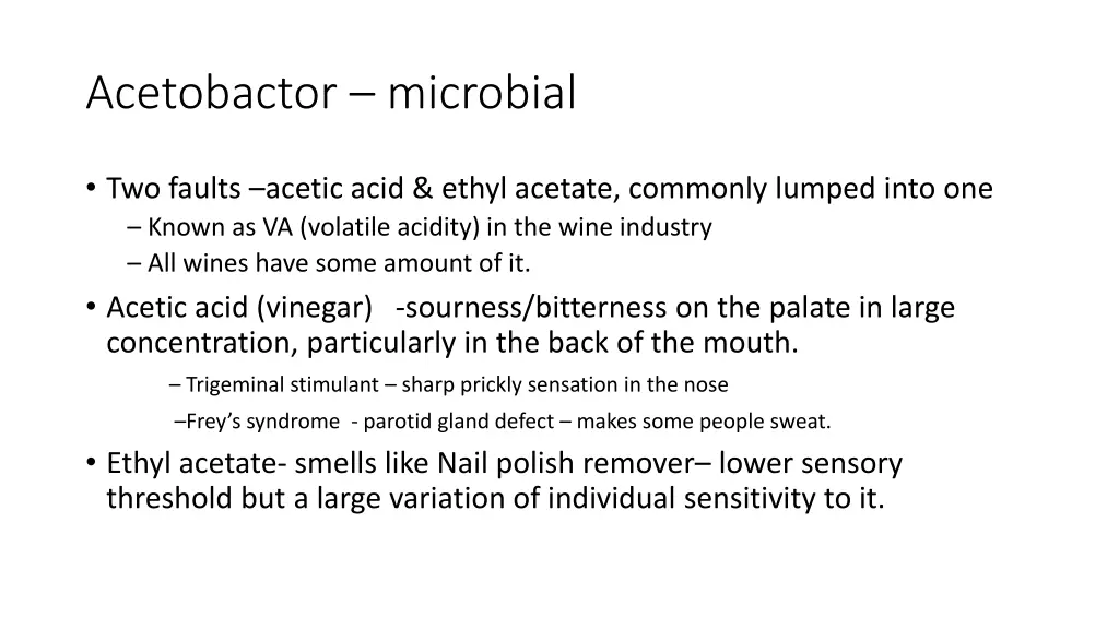 acetobactor microbial