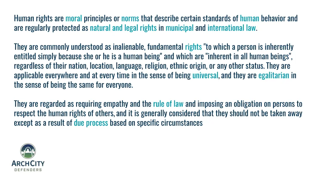 human rights are moral principles or norms that