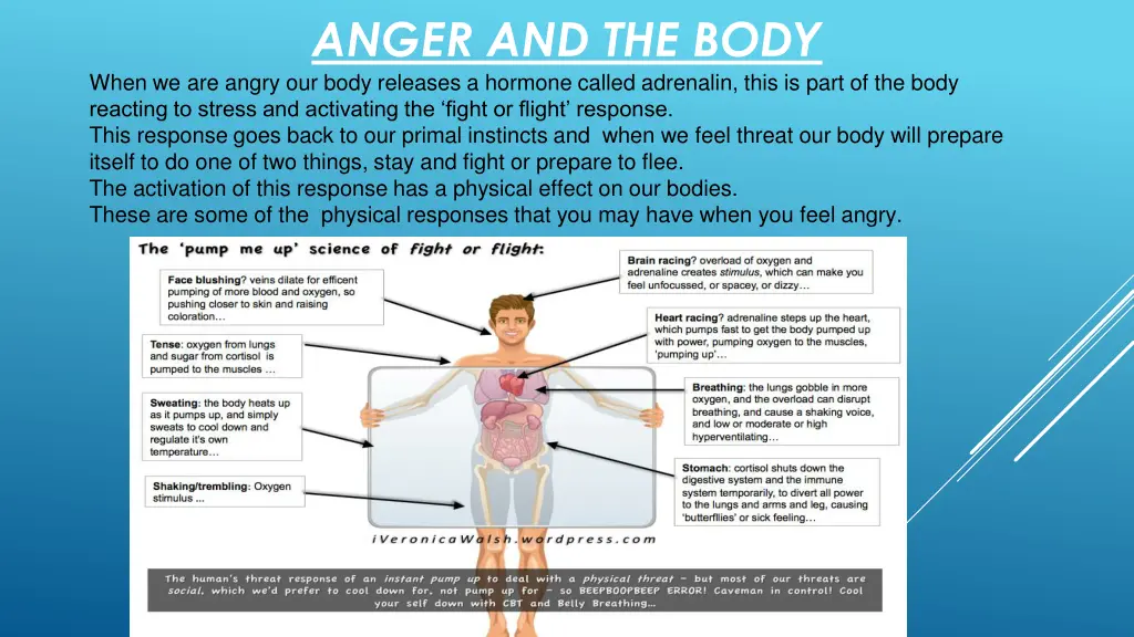 anger and the body when we are angry our body