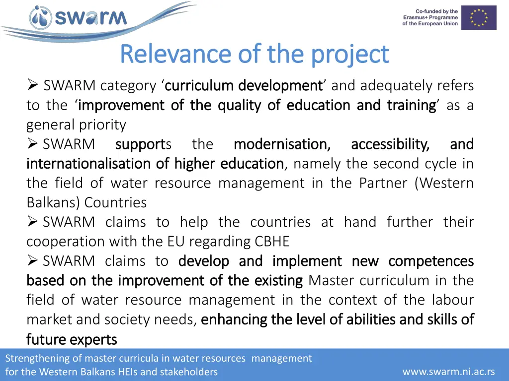 relevance of the project relevance of the project