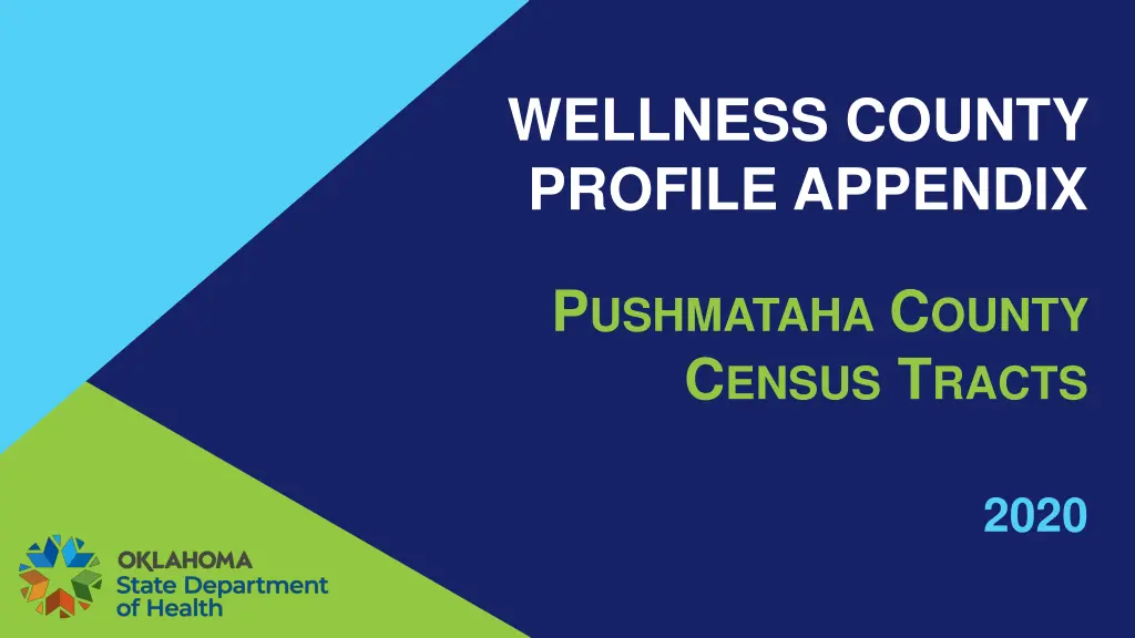 wellness county profile appendix
