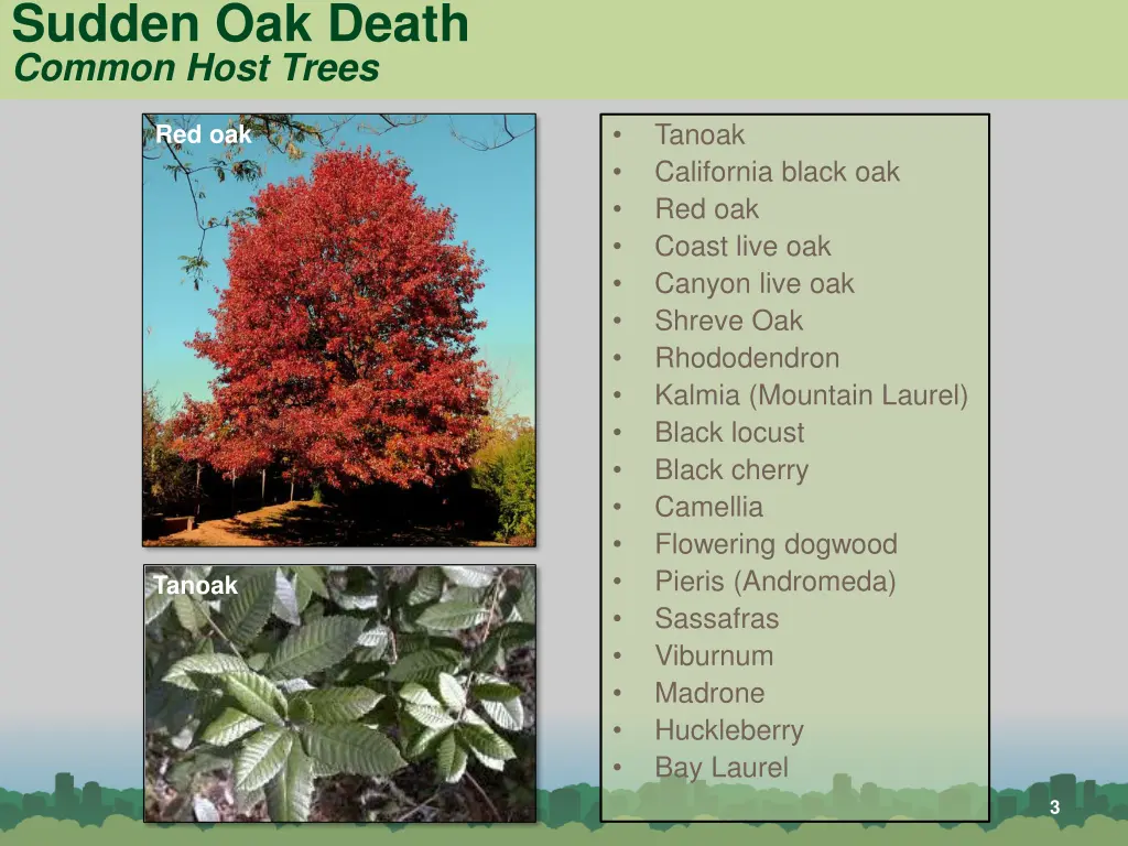 sudden oak death common host trees