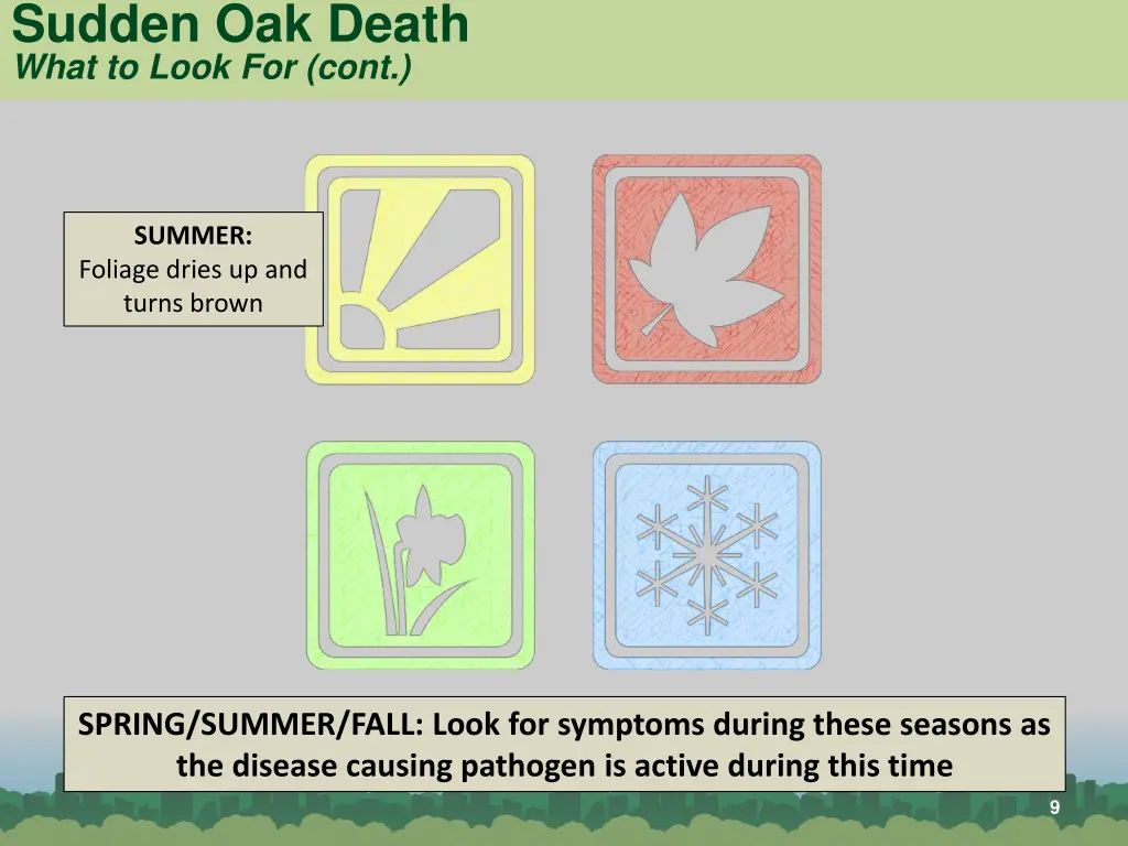 sudden oak death what to look for cont