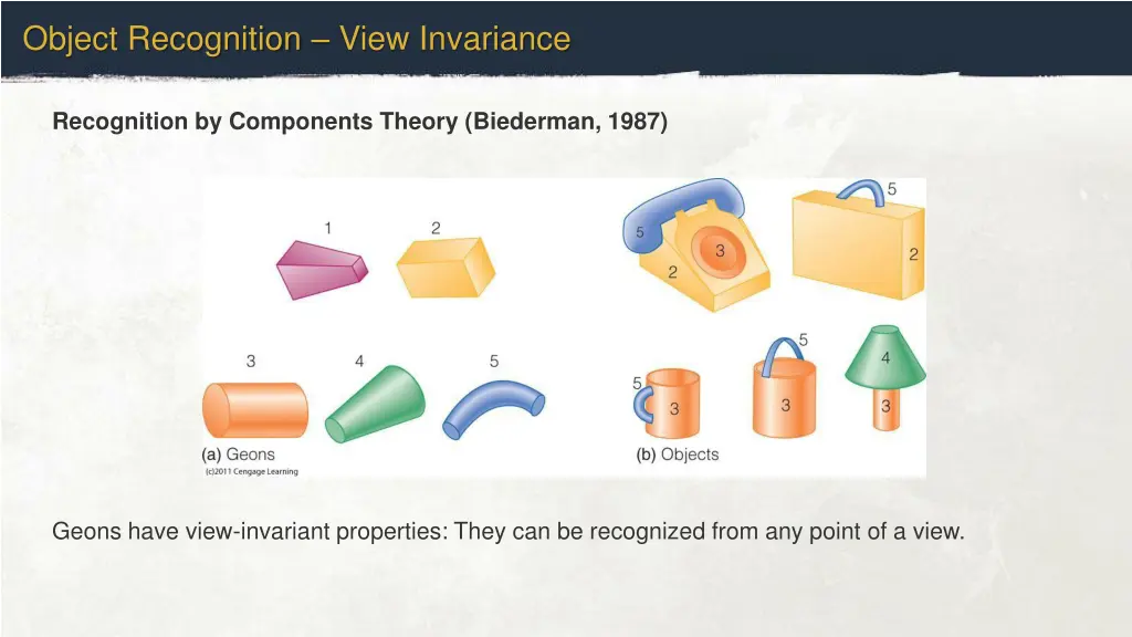 object recognition view invariance
