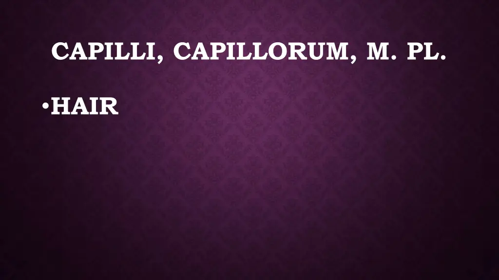 capilli capillorum m pl