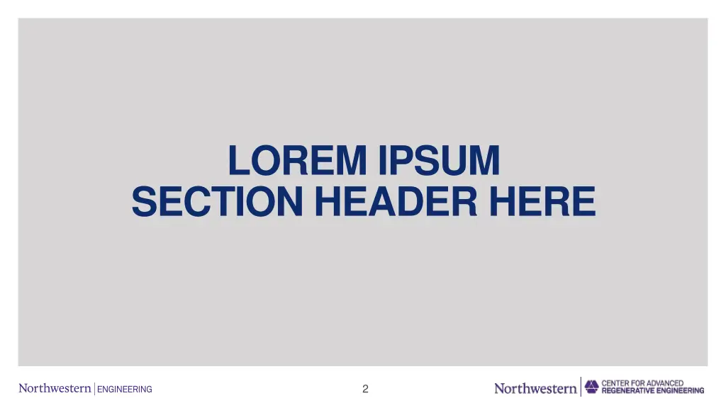 lorem ipsum section header here