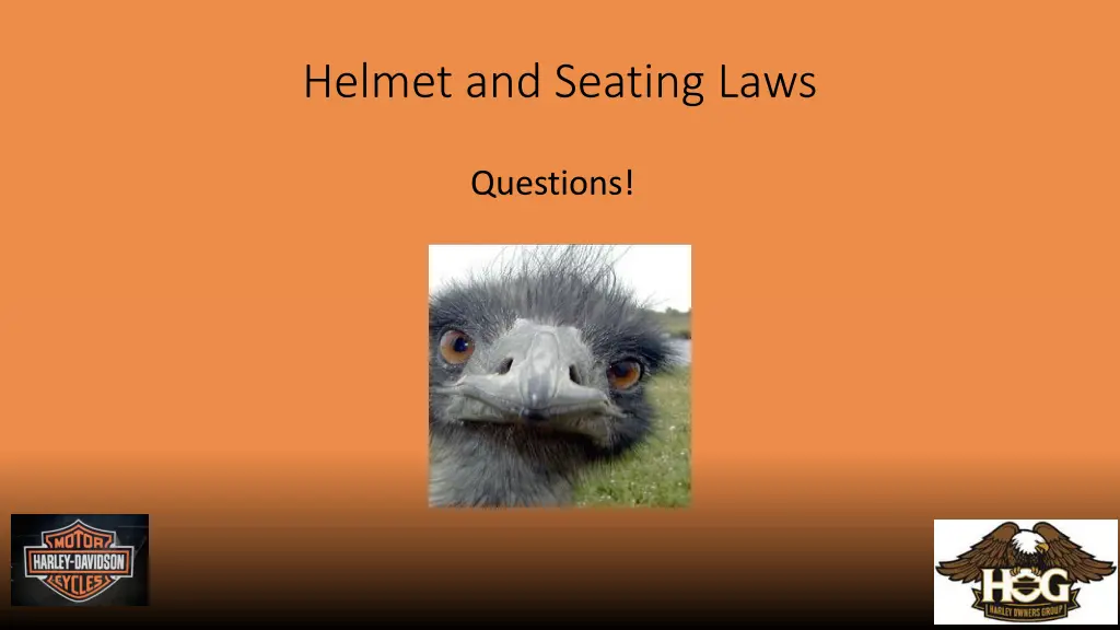 helmet and seating laws
