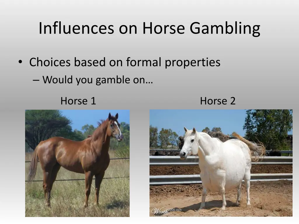 influences on horse gambling