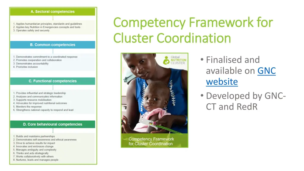 competency framework for competency framework