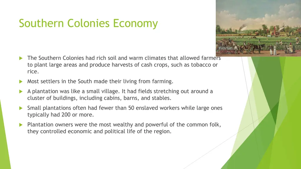 southern colonies economy