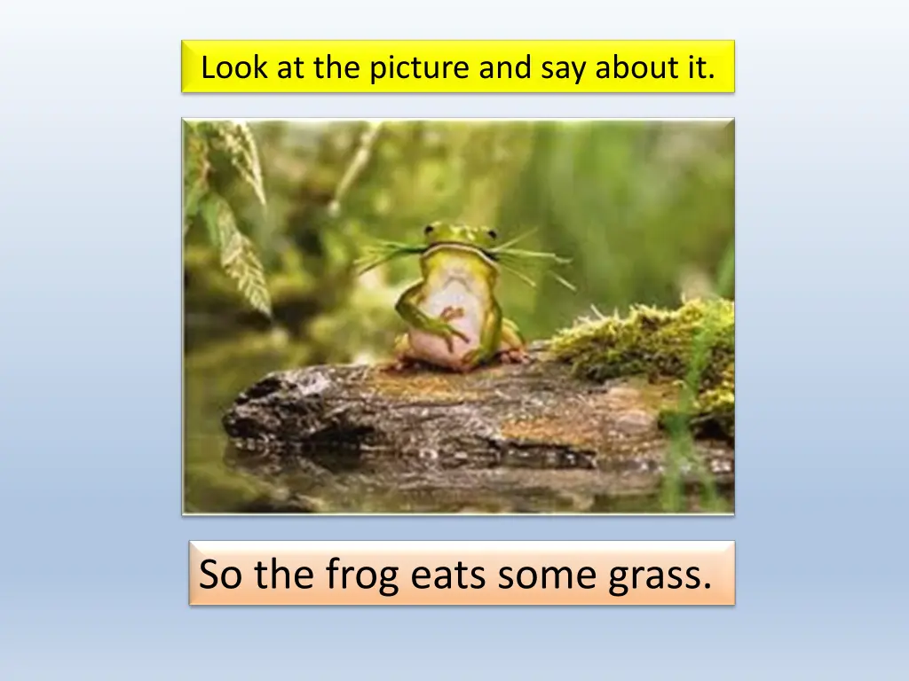 look at the picture and say about it