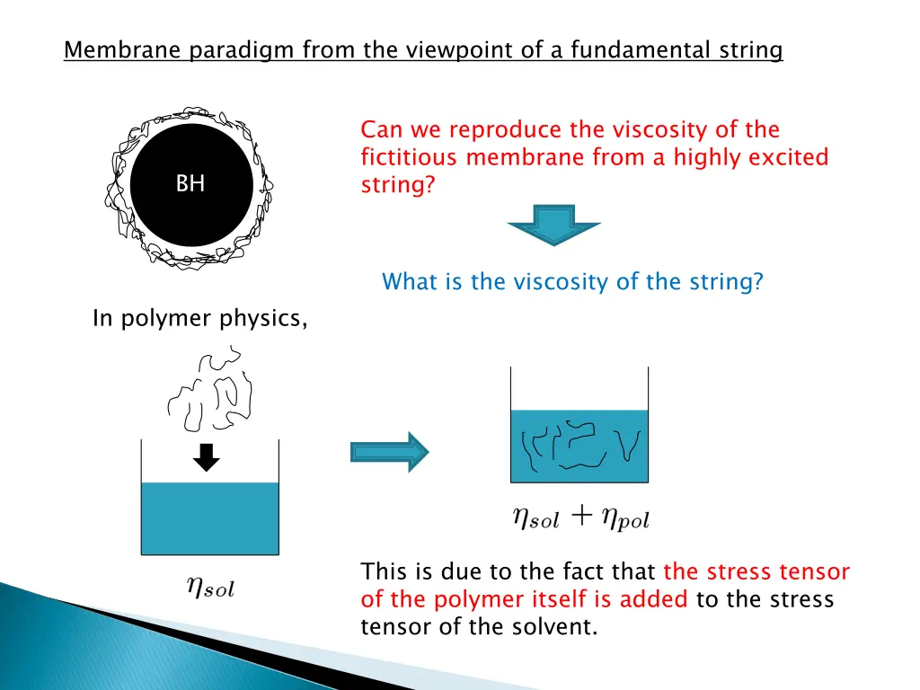 membrane paradigm from the viewpoint