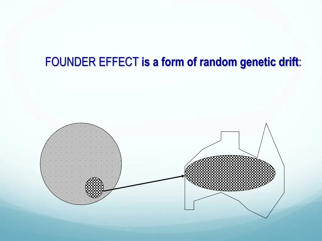 founder effect is a form of random genetic drift