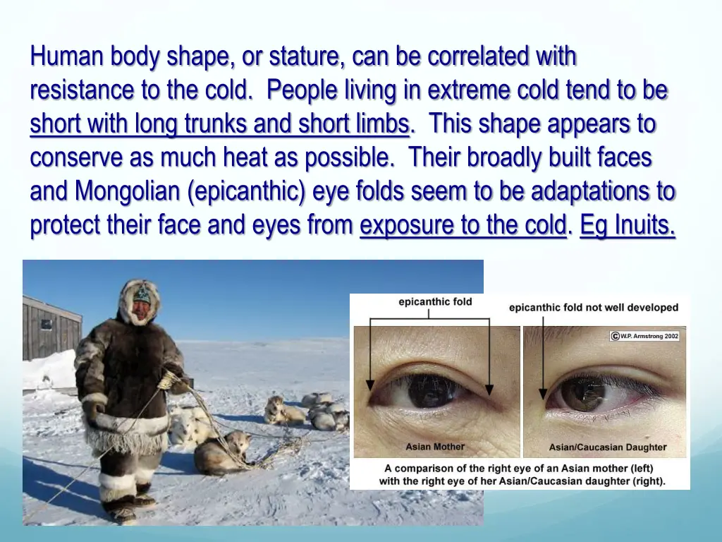 human body shape or stature can be correlated