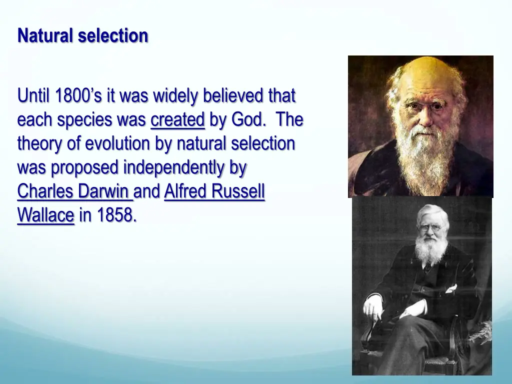 natural selection 1