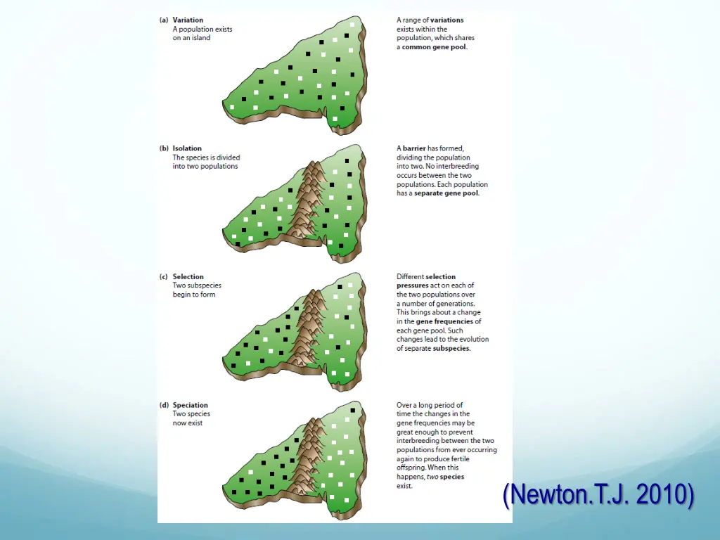 newton t j 2010 1