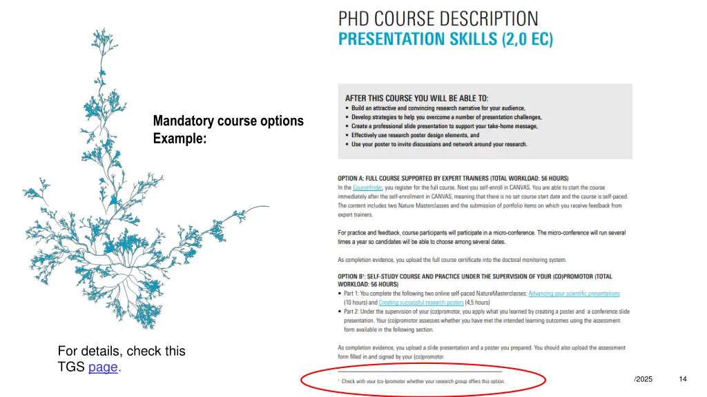 mandatory course options example