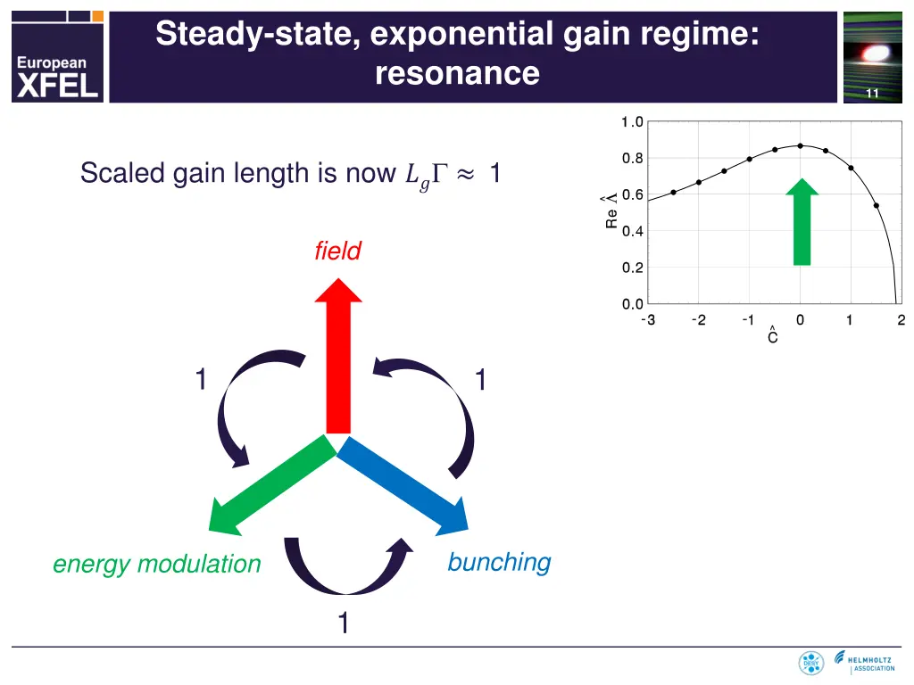 steady state exponential gain regime resonance