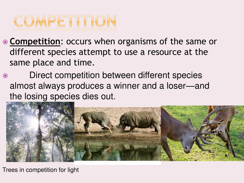 competition