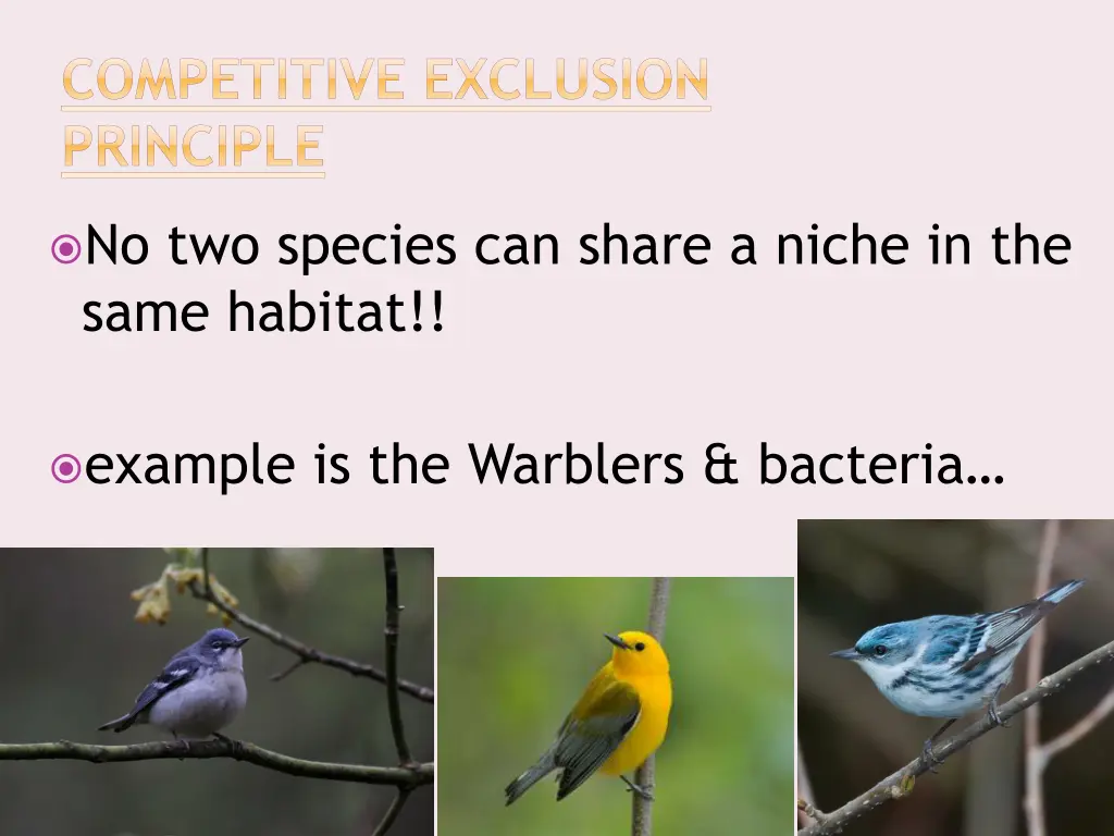 competitive exclusion principle