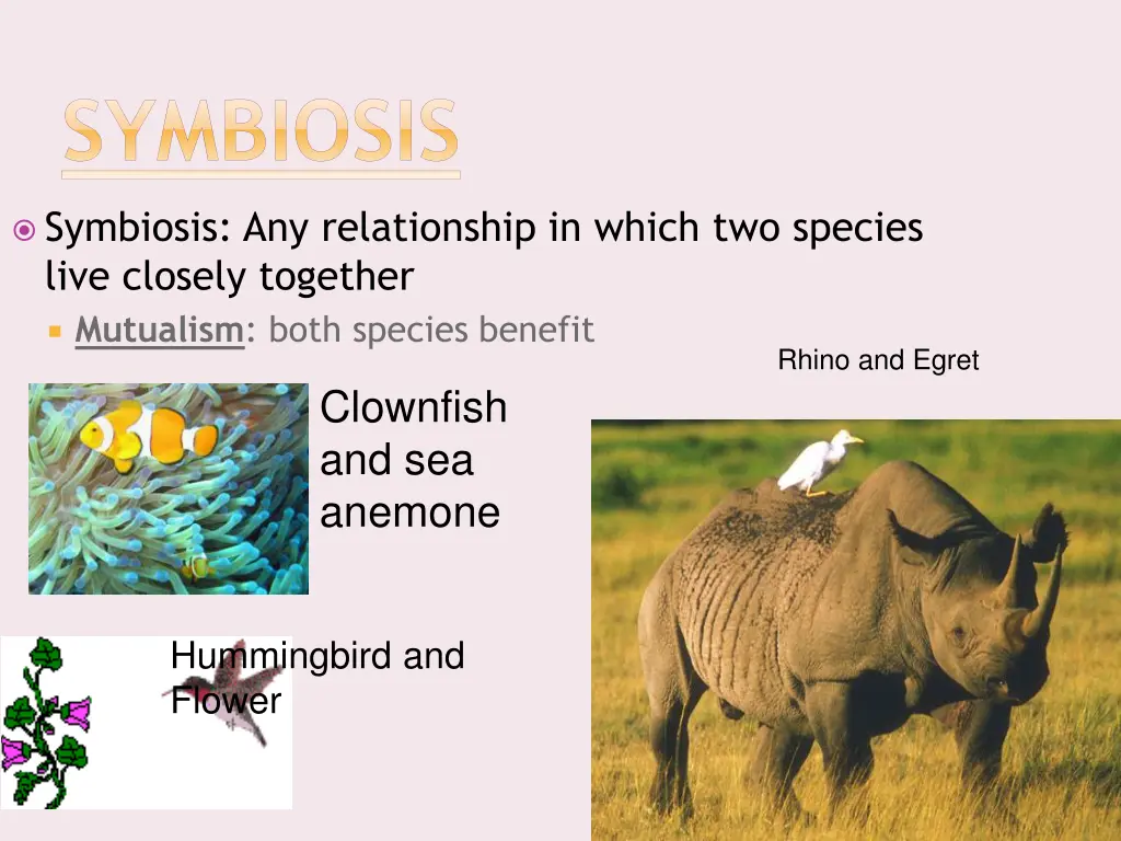 symbiosis