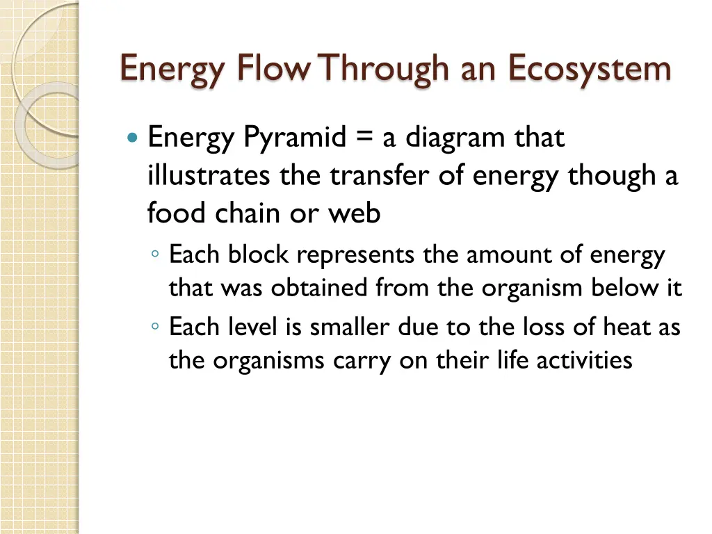 energy flow through an ecosystem 2