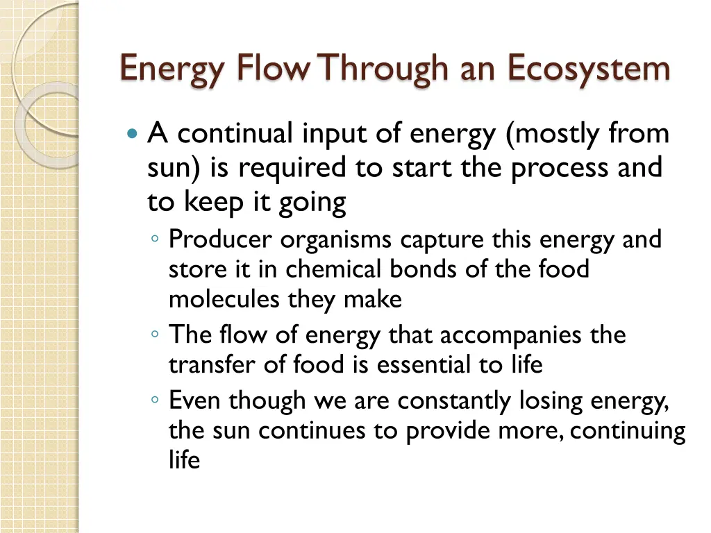 energy flow through an ecosystem 3