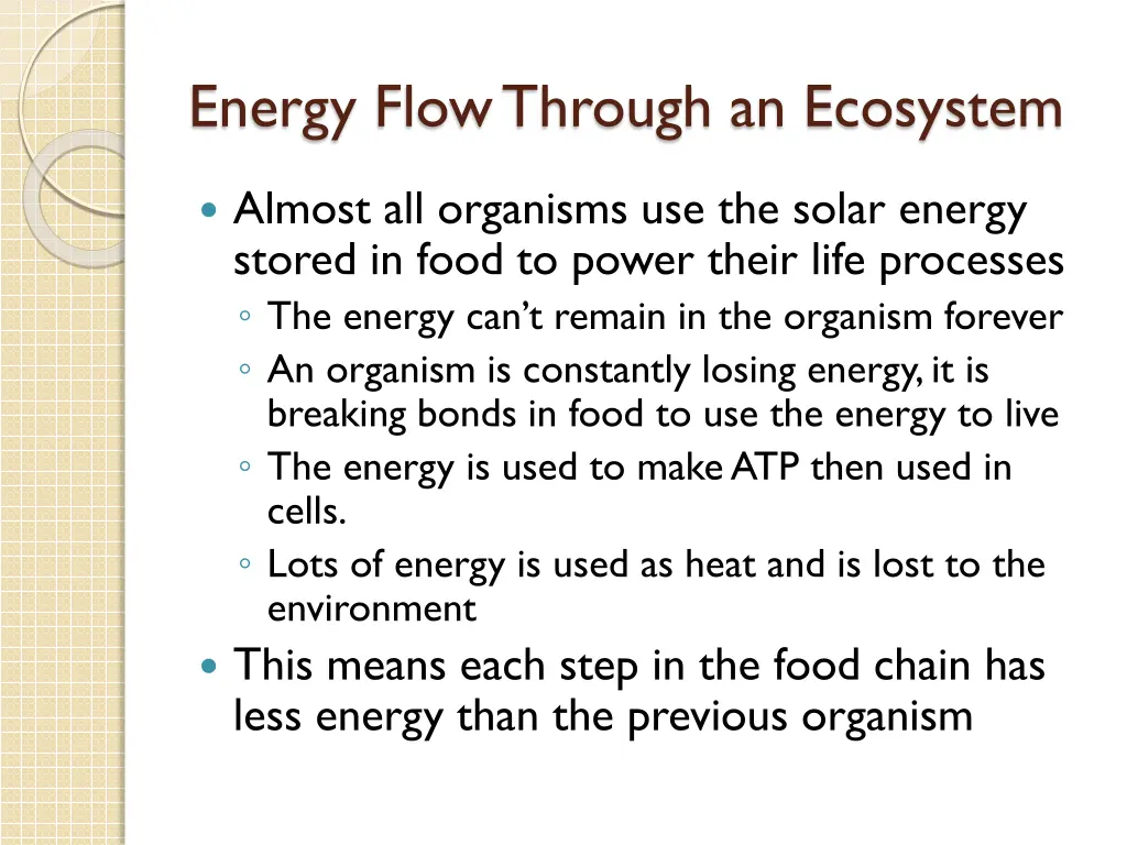 energy flow through an ecosystem