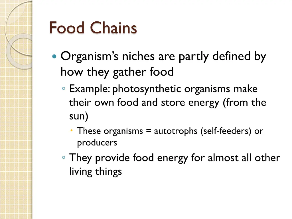 food chains 1