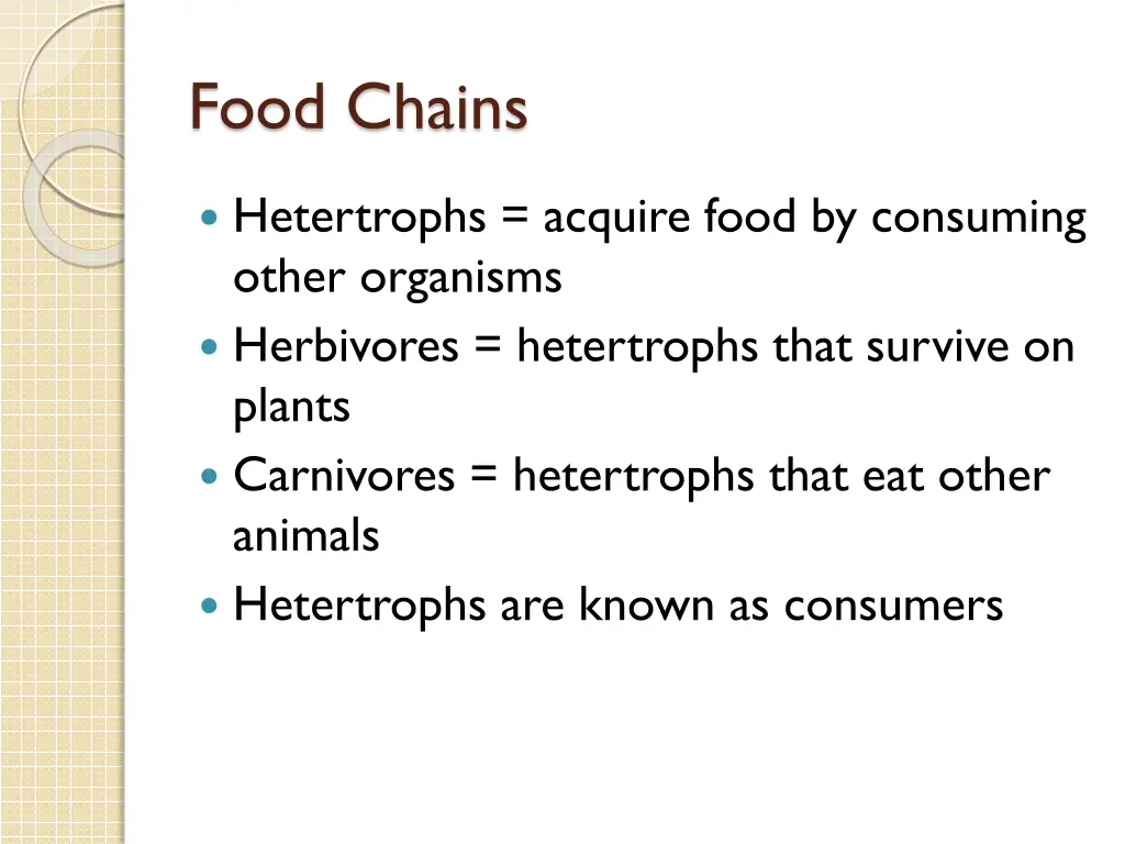 food chains 2