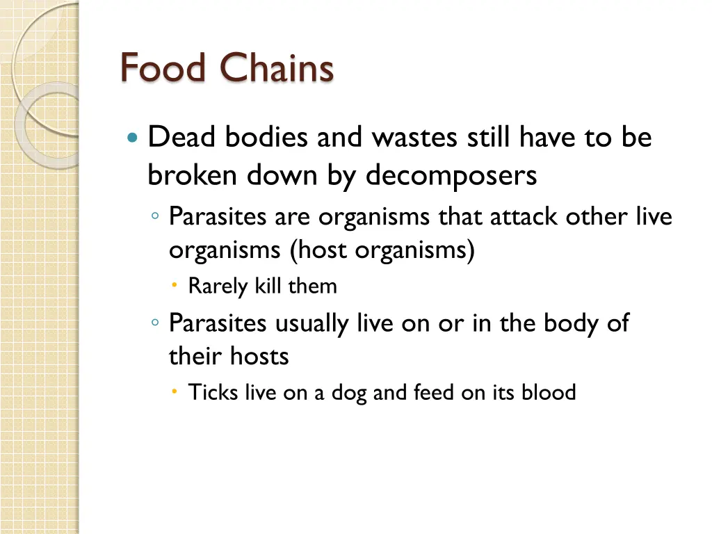 food chains 5