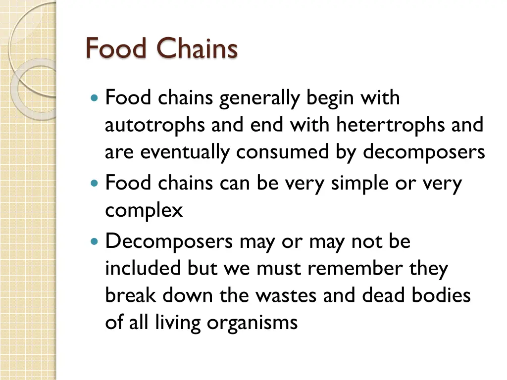 food chains 6