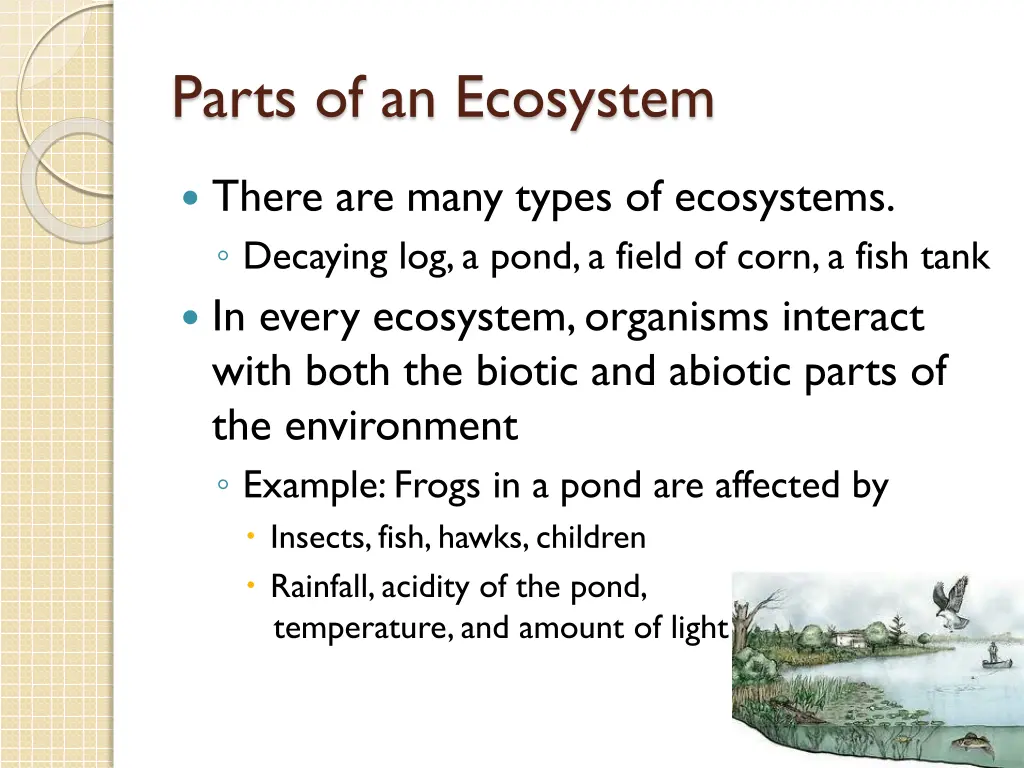 parts of an ecosystem 1