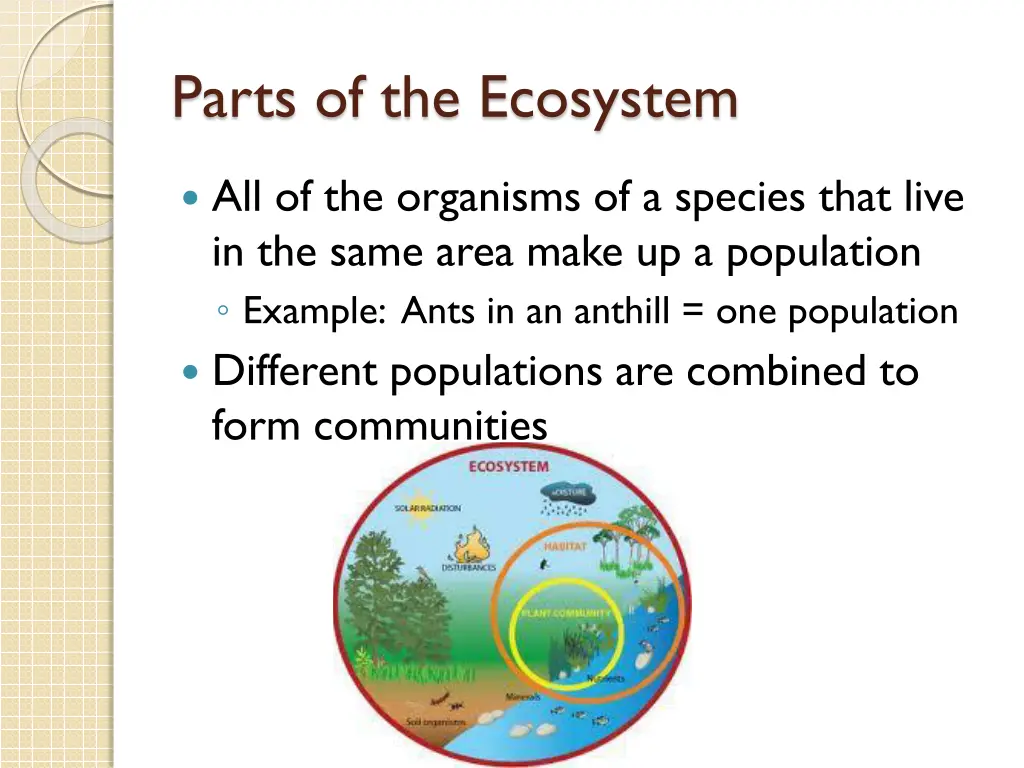 parts of the ecosystem 1