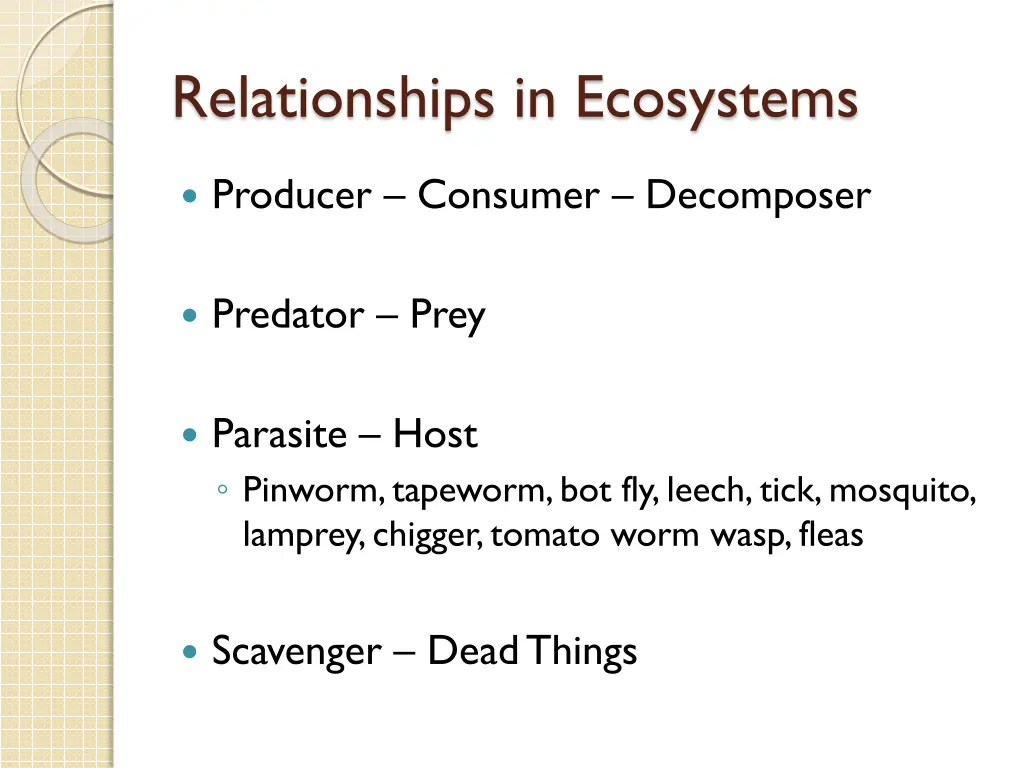 relationships in ecosystems