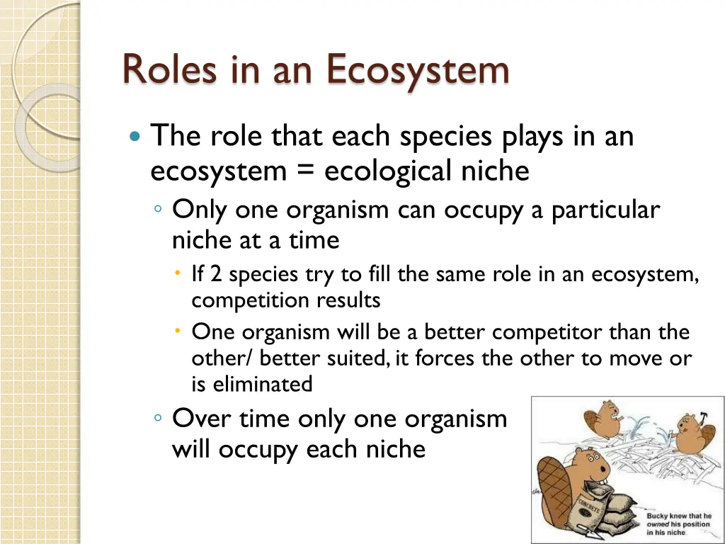 roles in an ecosystem