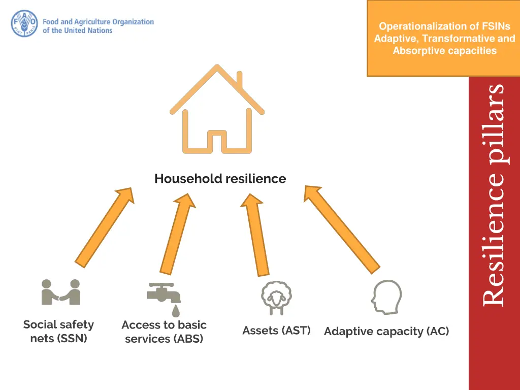 operationalization of fsins adaptive