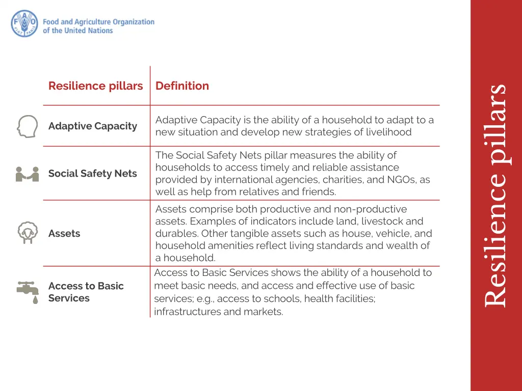 resilience pillars