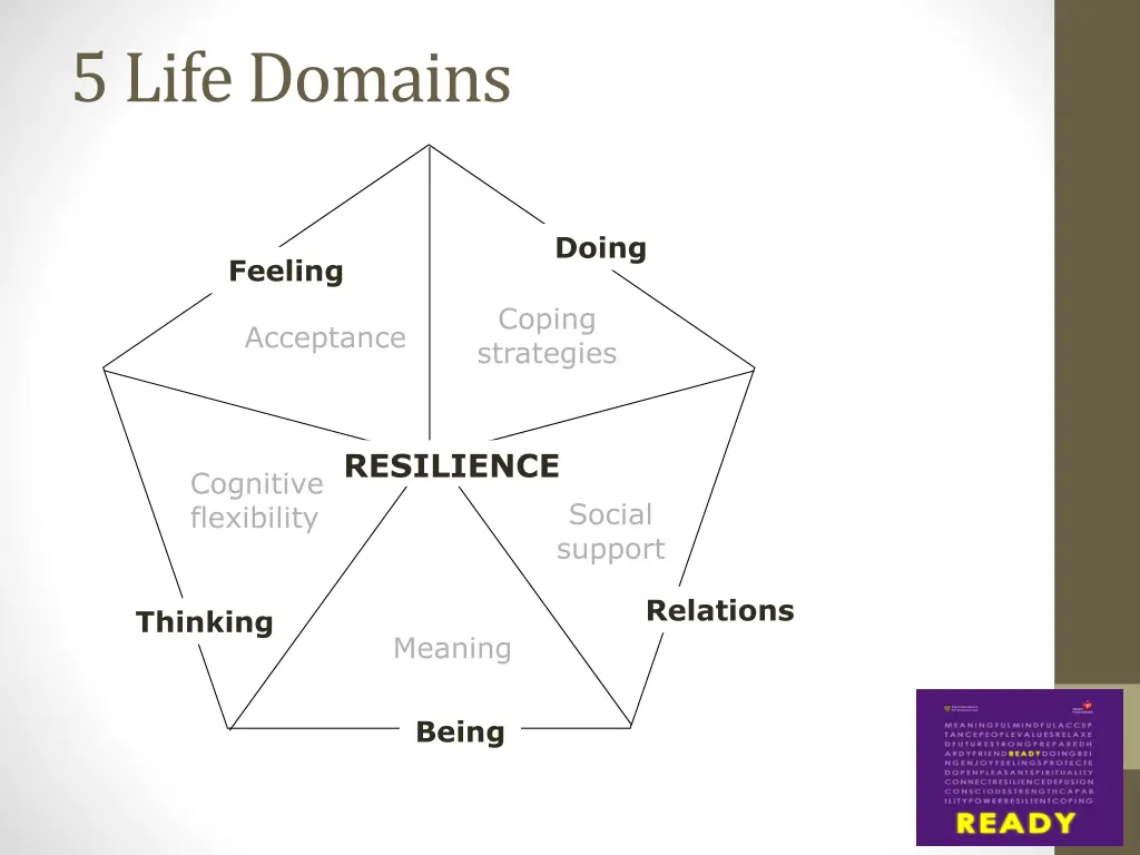 5 life domains